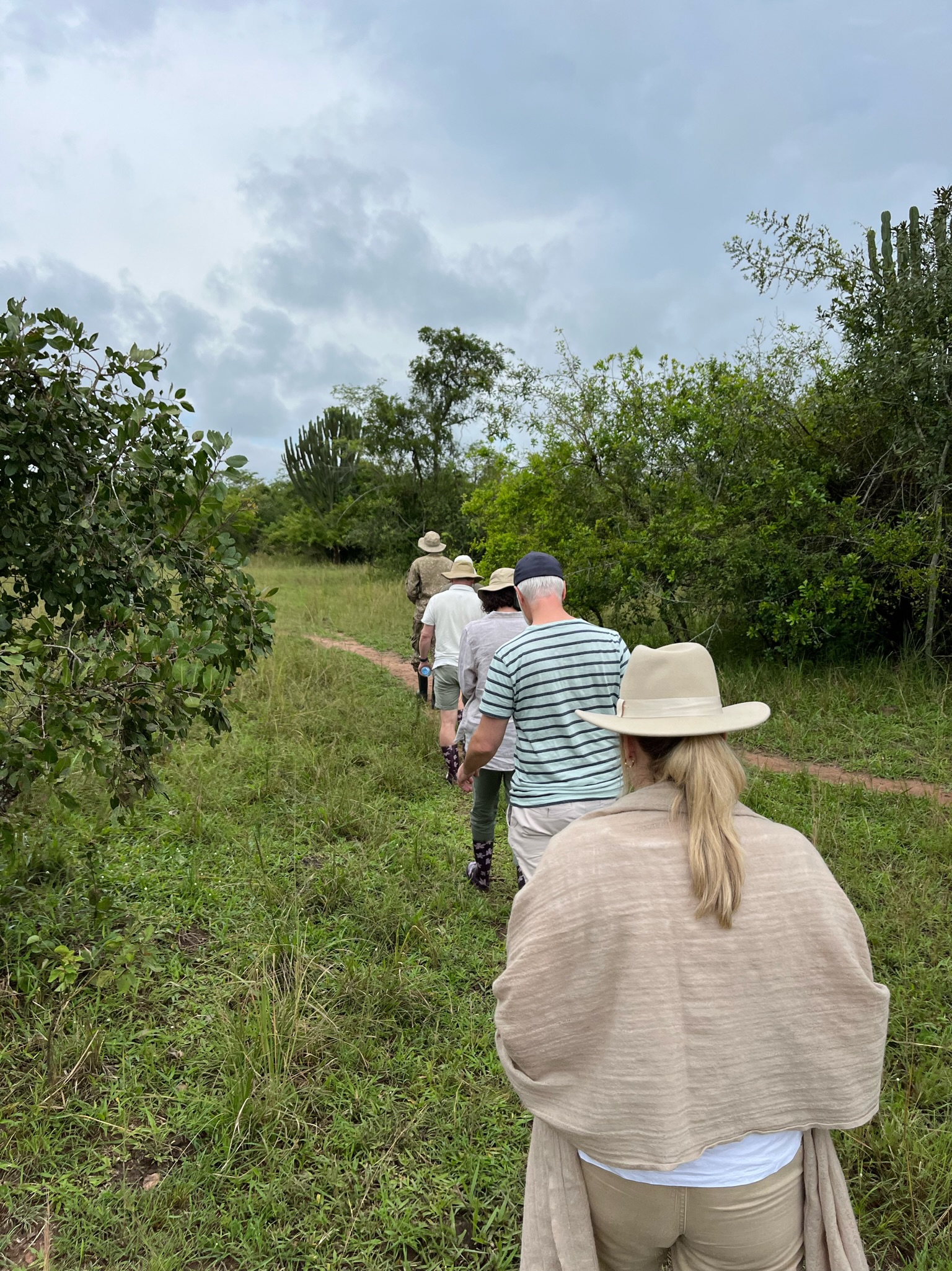 Walking safaris