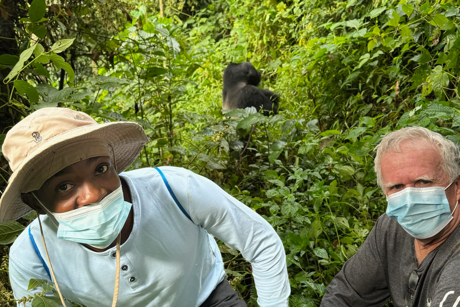 Gorilla Trekking